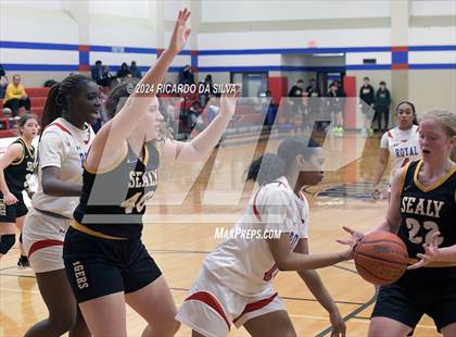Thumbnail 2 in Royal vs Sealy photogallery.