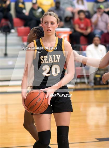 Thumbnail 1 in Royal vs Sealy photogallery.