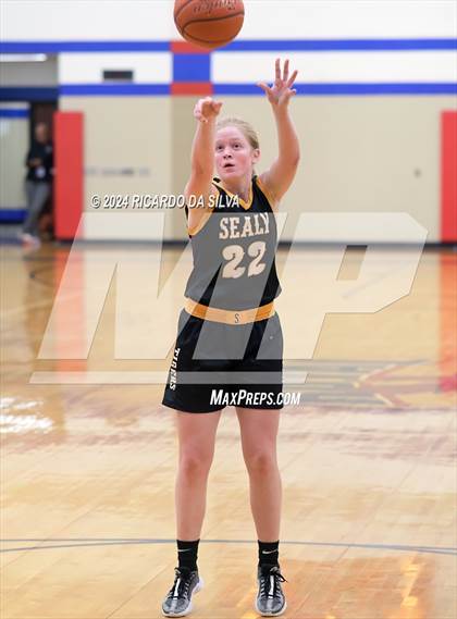 Thumbnail 3 in Royal vs Sealy photogallery.