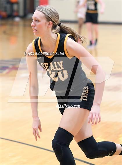 Thumbnail 3 in Royal vs Sealy photogallery.