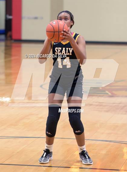 Thumbnail 1 in Royal vs Sealy photogallery.