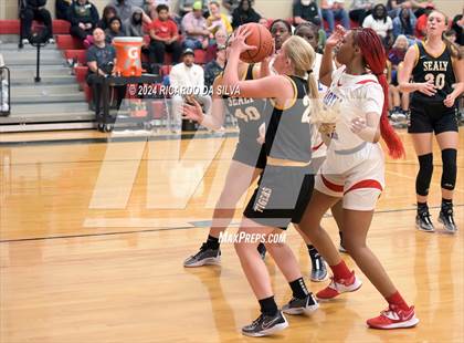 Thumbnail 3 in Royal vs Sealy photogallery.
