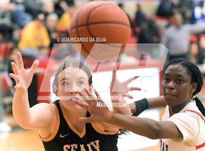 Thumbnail 1 in Royal vs Sealy photogallery.