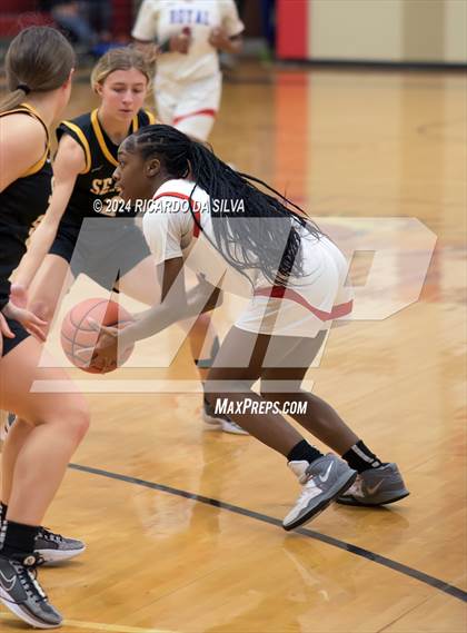 Thumbnail 3 in Royal vs Sealy photogallery.