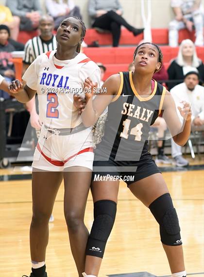 Thumbnail 1 in Royal vs Sealy photogallery.