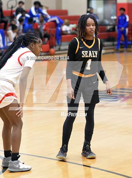 Thumbnail 3 in Royal vs Sealy photogallery.