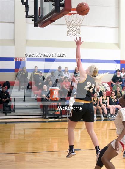 Thumbnail 1 in Royal vs Sealy photogallery.
