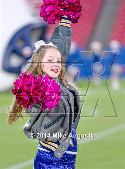 Thumbnail 1 in Wakeland @ Frisco photogallery.