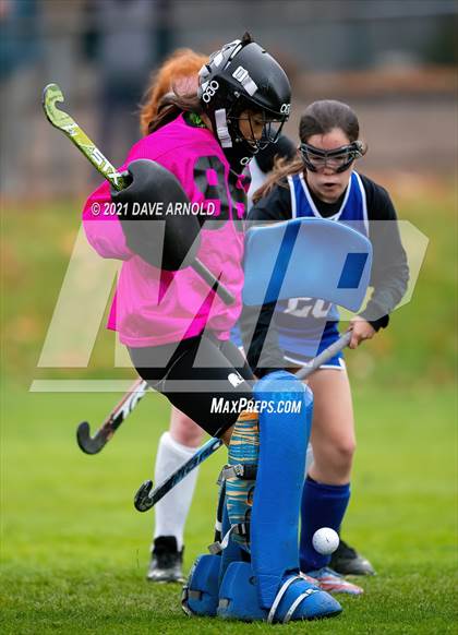 Thumbnail 2 in Cheverus vs. Falmouth (MPA Class A Regional Semi-final) photogallery.