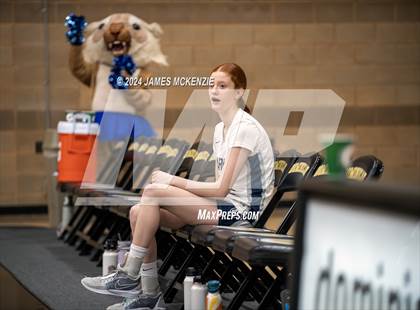 Thumbnail 1 in Marin Catholic v Maria Carrillo (CIF NCS Division 3 Final) photogallery.