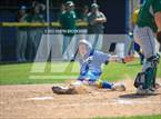 Photo from the gallery "Liberty Ranch @ Linden"