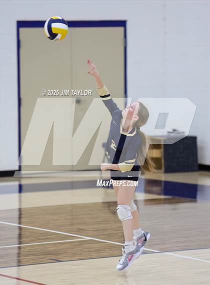 Thumbnail 1 in Olney @ Perrin-Whitt photogallery.