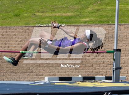 Thumbnail 1 in Johnson C. Smith University Invitational photogallery.