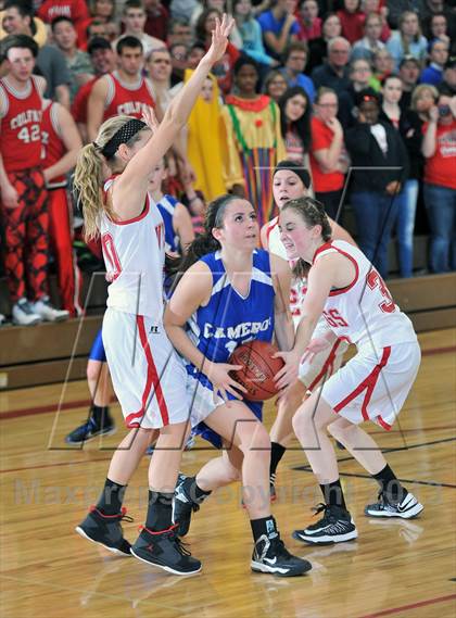 Thumbnail 2 in Cameron vs. Colfax (WIAA D4 Sectional Semi Final)  photogallery.