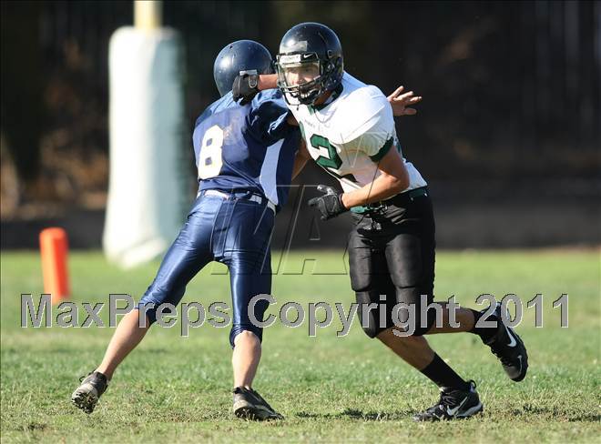 null - Photo 11