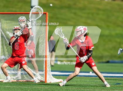 Thumbnail 2 in Milton @ Needham photogallery.