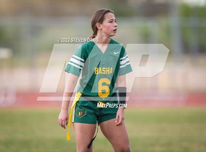 Thumbnail 1 in Basha vs Chandler photogallery.