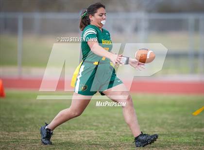 Thumbnail 1 in Basha vs Chandler photogallery.