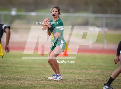Thumbnail 1 in Basha vs Chandler photogallery.