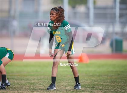 Thumbnail 1 in Basha vs Chandler photogallery.