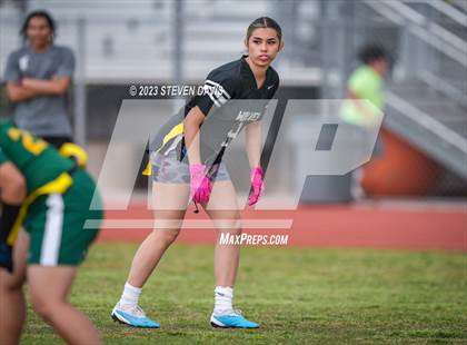 Thumbnail 1 in Basha vs Chandler photogallery.