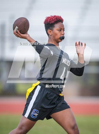 Thumbnail 1 in Basha vs Chandler photogallery.