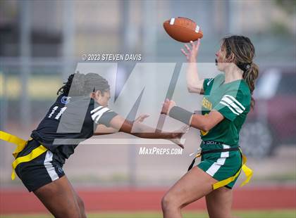 Thumbnail 1 in Basha vs Chandler photogallery.