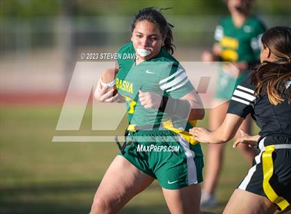 Thumbnail 1 in Basha vs Chandler photogallery.