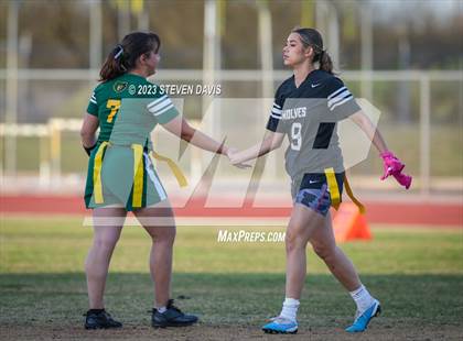 Thumbnail 1 in Basha vs Chandler photogallery.