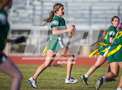 Thumbnail 1 in Basha vs Chandler photogallery.