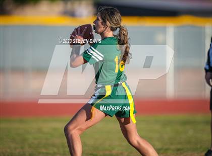 Thumbnail 1 in Basha vs Chandler photogallery.