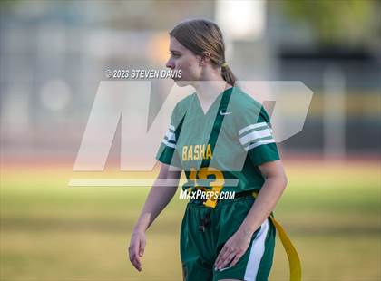 Thumbnail 1 in Basha vs Chandler photogallery.