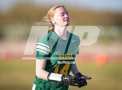 Thumbnail 2 in Basha vs Chandler photogallery.