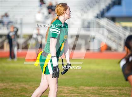 Thumbnail 1 in Basha vs Chandler photogallery.