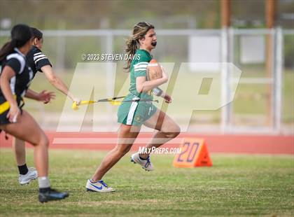 Thumbnail 3 in Basha vs Chandler photogallery.