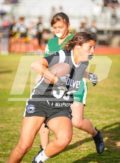 Thumbnail 1 in Basha vs Chandler photogallery.