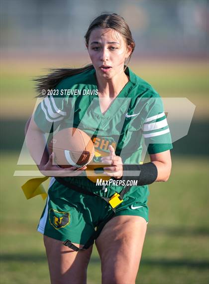 Thumbnail 1 in Basha vs Chandler photogallery.