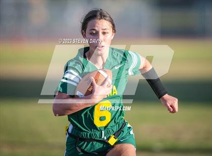 Thumbnail 3 in Basha vs Chandler photogallery.