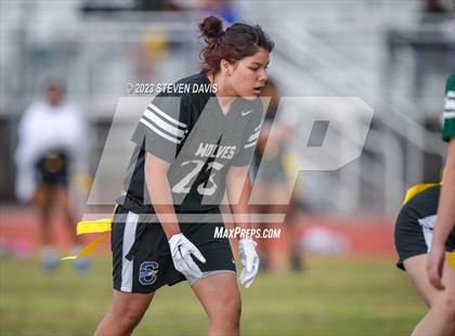 Thumbnail 3 in Basha vs Chandler photogallery.