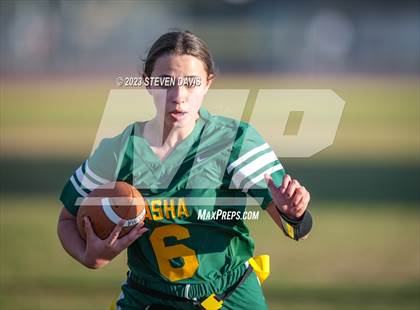 Thumbnail 1 in Basha vs Chandler photogallery.