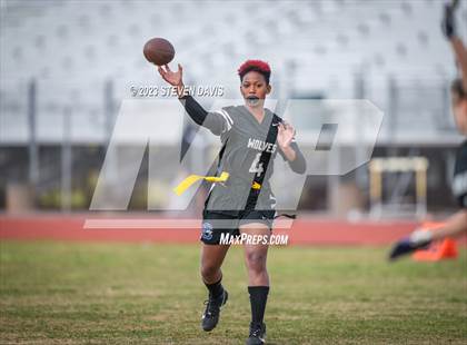 Thumbnail 1 in Basha vs Chandler photogallery.