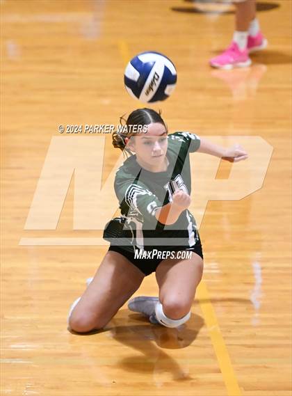 Thumbnail 2 in Slidell @ Mt. Carmel photogallery.