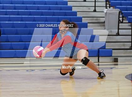 Thumbnail 1 in Royal @ Navasota photogallery.