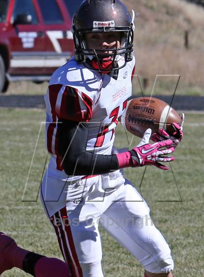 Thumbnail 3 in Jefferson @ Platte Canyon photogallery.