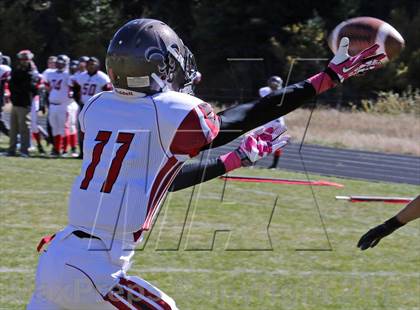 Thumbnail 1 in Jefferson @ Platte Canyon photogallery.