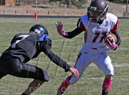 Thumbnail 2 in Jefferson @ Platte Canyon photogallery.
