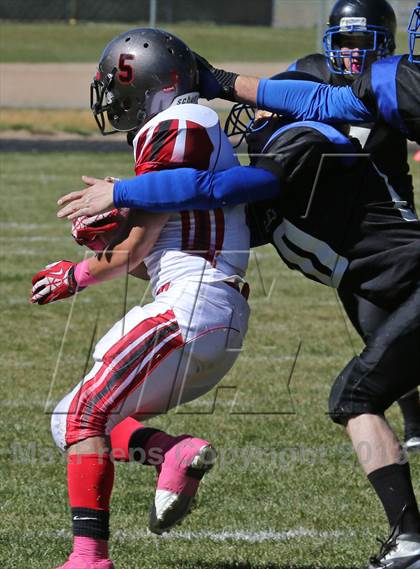 Thumbnail 2 in Jefferson @ Platte Canyon photogallery.