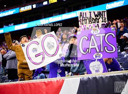 Thumbnail 2 in La Porte vs. Angleton (UIL 5A D1 Football Quarterfinal) photogallery.
