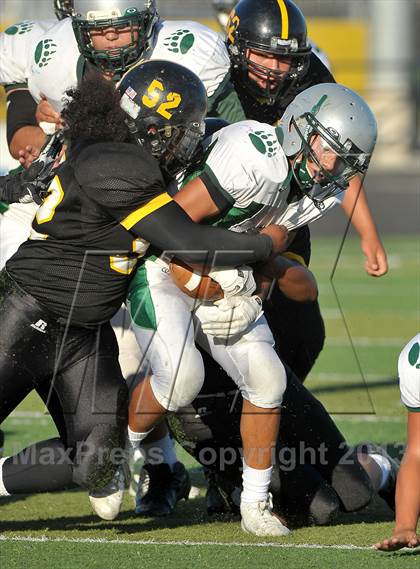 Thumbnail 2 in JV: Ponderosa @ Rio Linda photogallery.