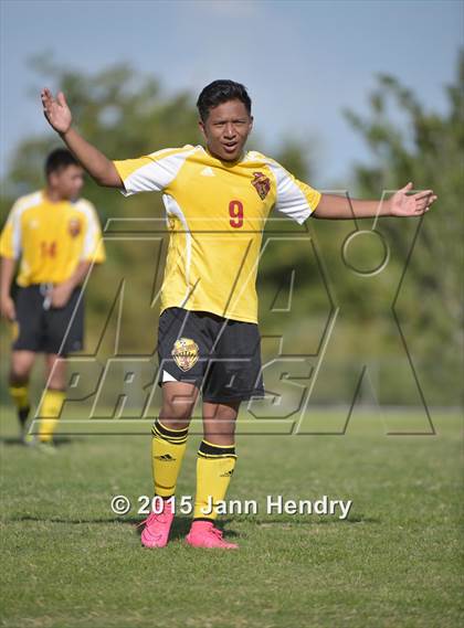 Thumbnail 1 in Del Sol vs Basic photogallery.